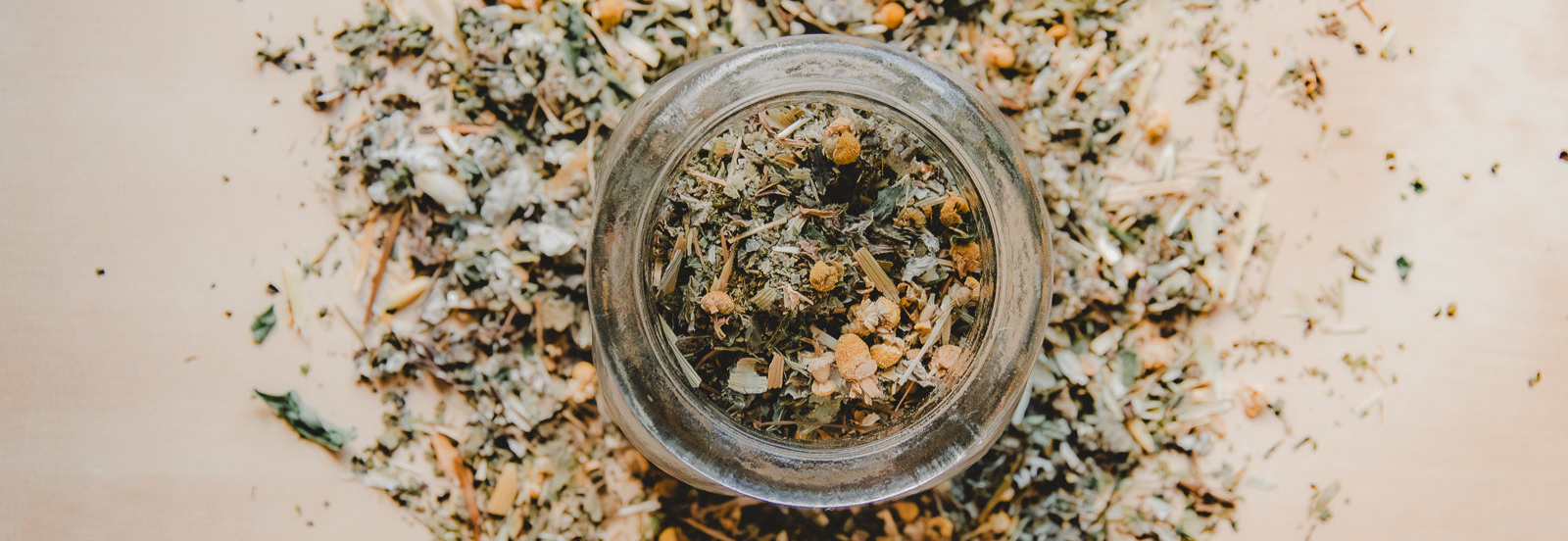 Melanie Ravey. Wildcraft Birth and Botanicals. Denver Colorado Birth Doula, Postpartum Doula, & Herbalist