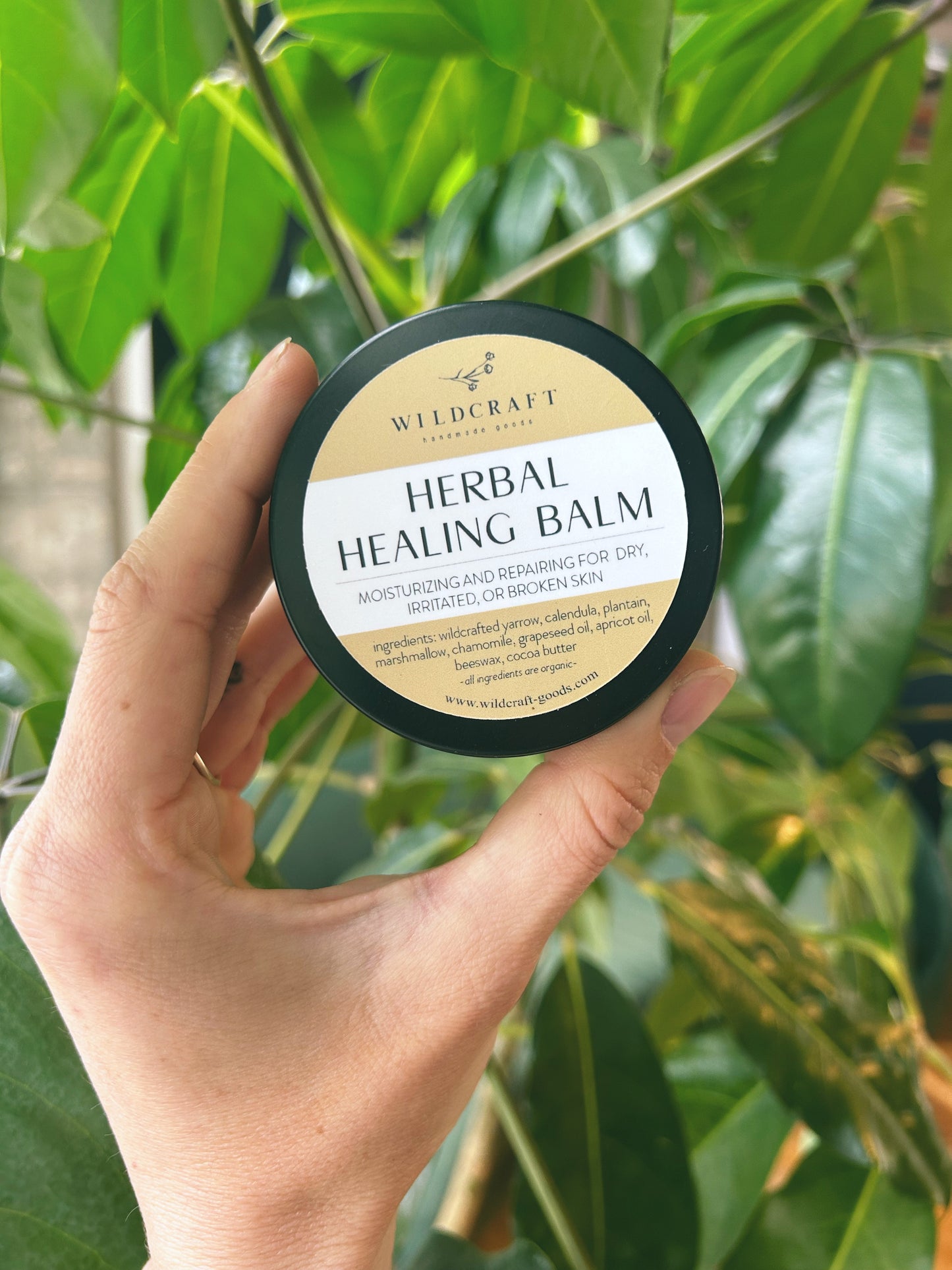 Herbal Healing Balm