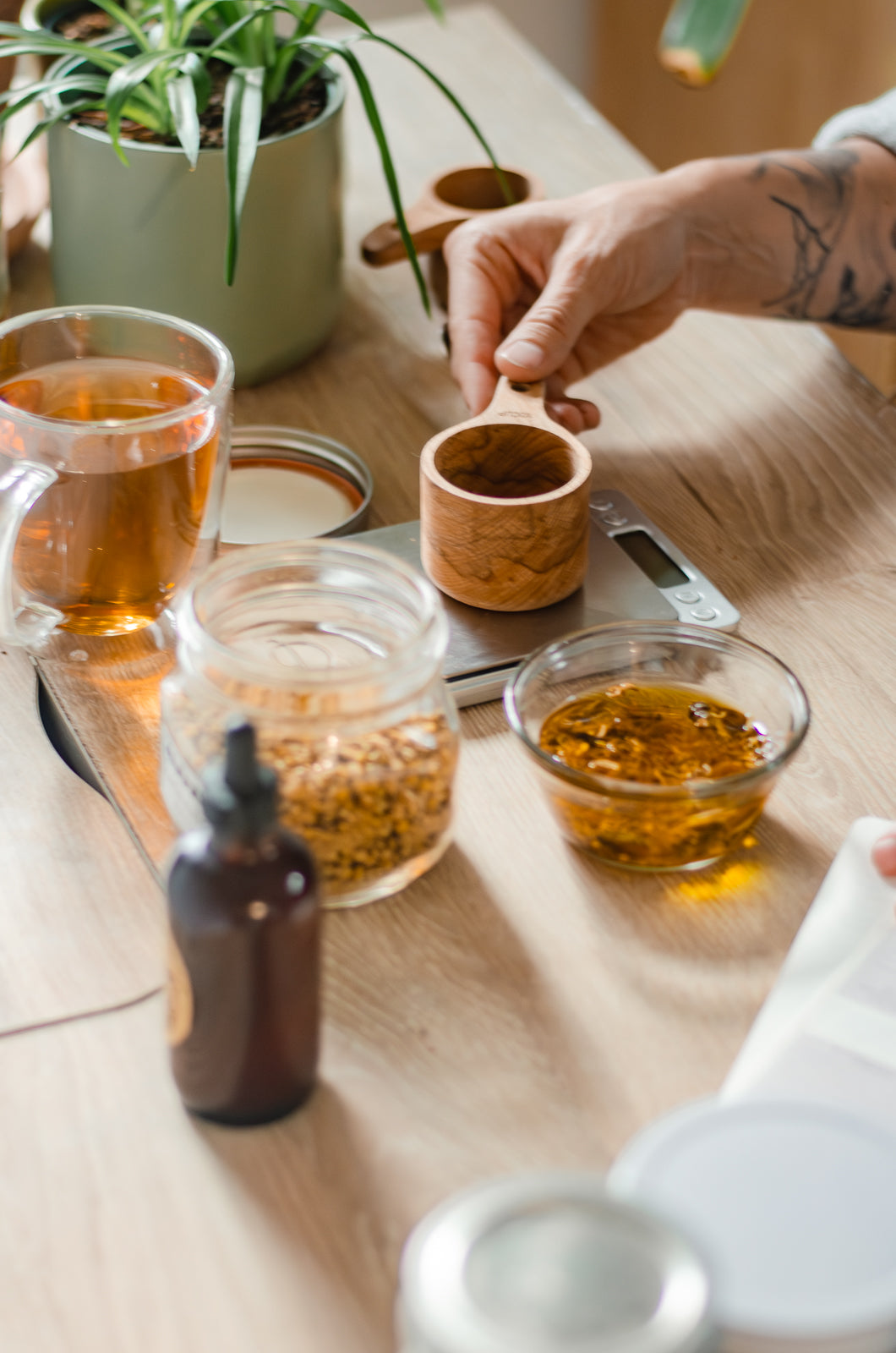 Melanie Ravey. Wildcraft Birth and Botanicals. Denver Colorado Birth Doula, Postpartum Doula, & Herbalist