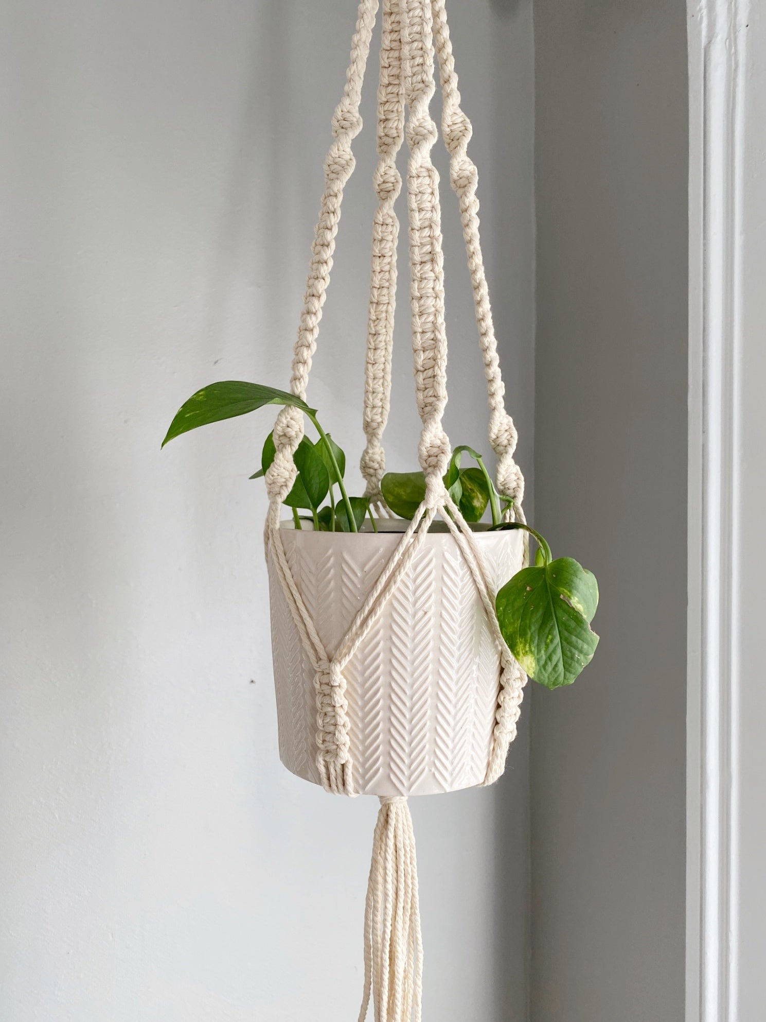 Petite Macrame Plant Hanger: 2 styles