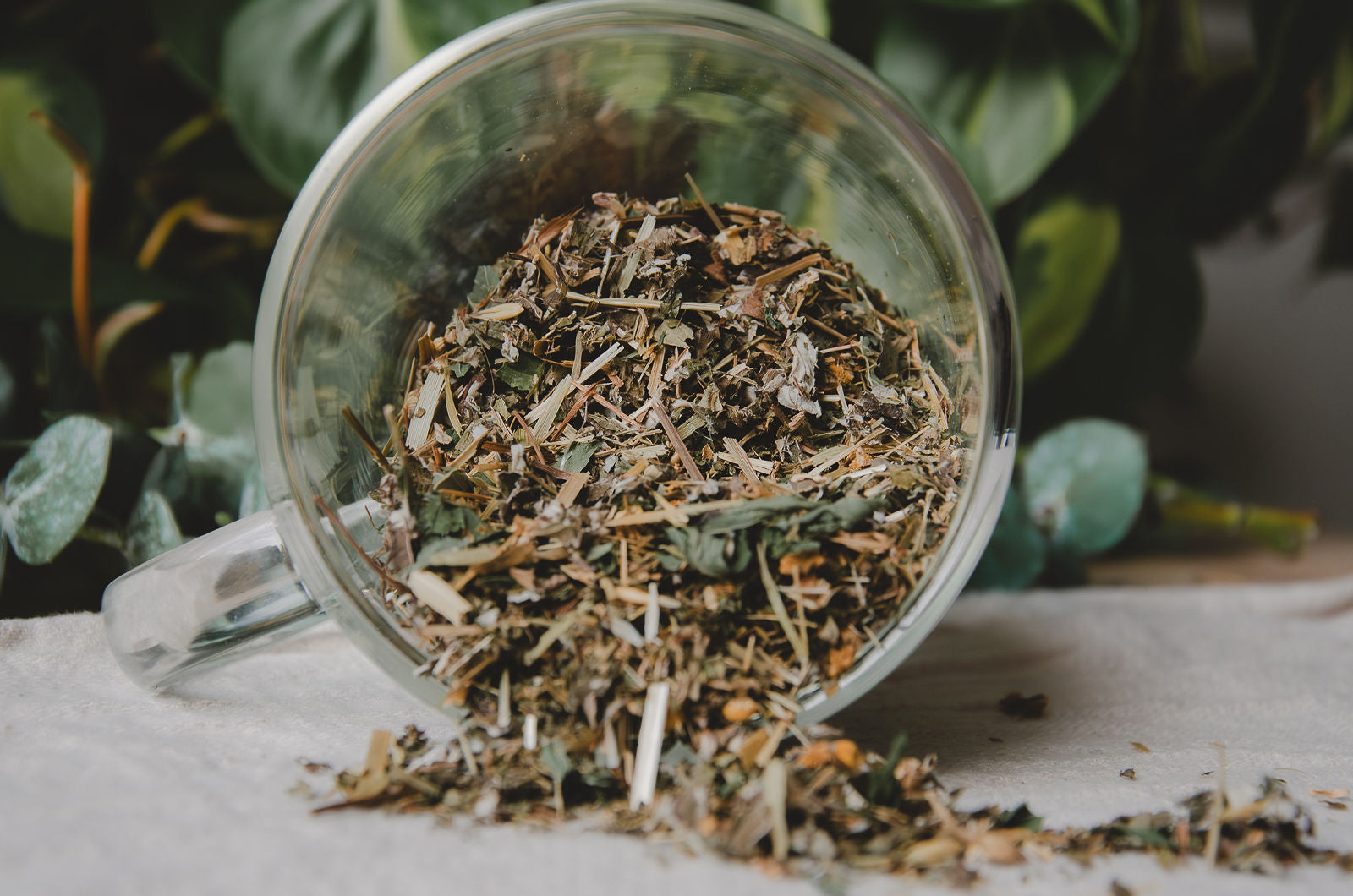 Herbal Teas Collection | Handcrafted Botanical Tea Blends – Wildcraft ...
