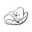 Wildcraft Birth & Botanicals logo