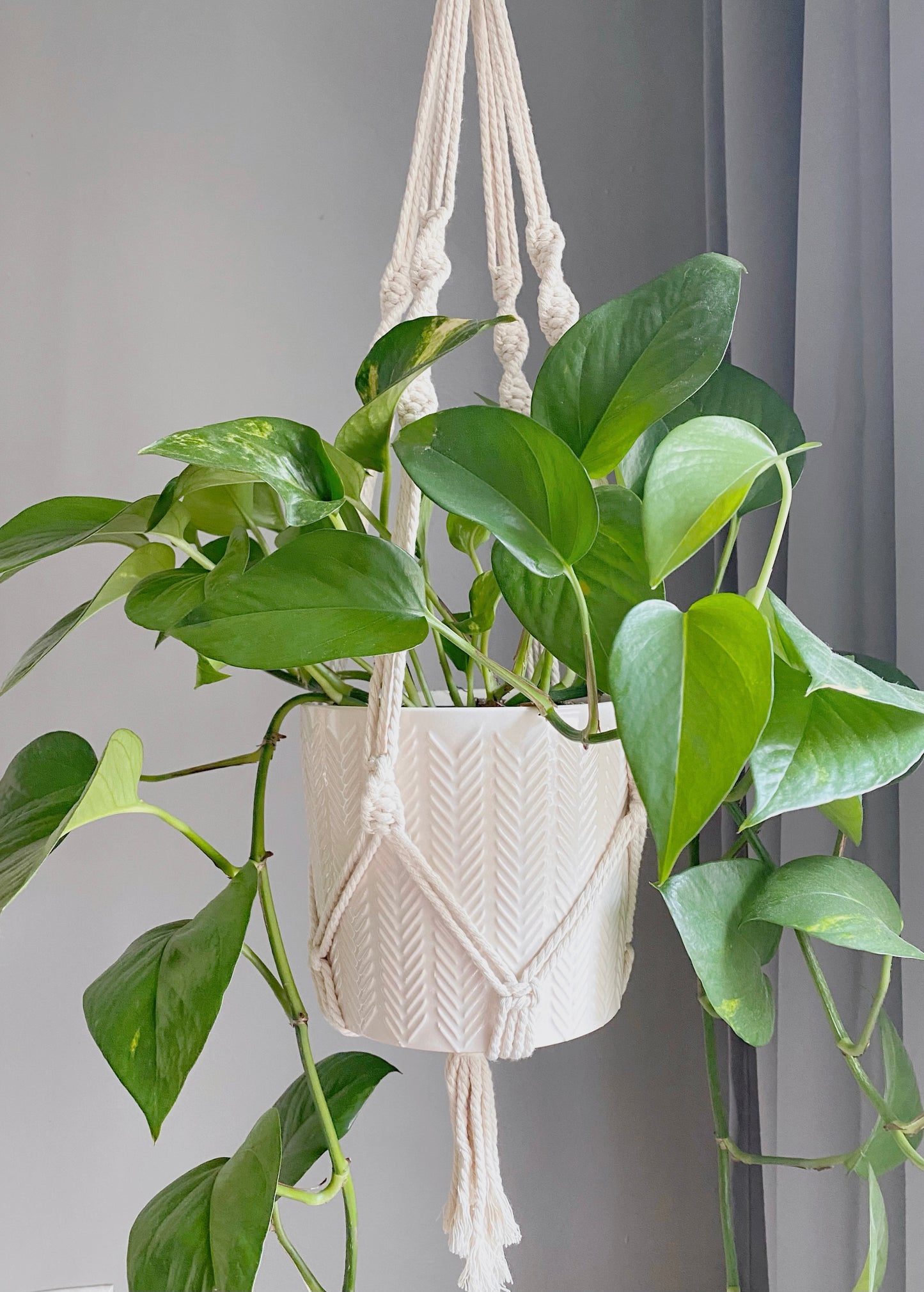 Create more space in your home and suspend your urban jungle with a ready to hang, handmade, boho double macrame plant hanger. This hanger is perfect for high ceilings! Great for indoors or outdoors, just add your favorite plants!