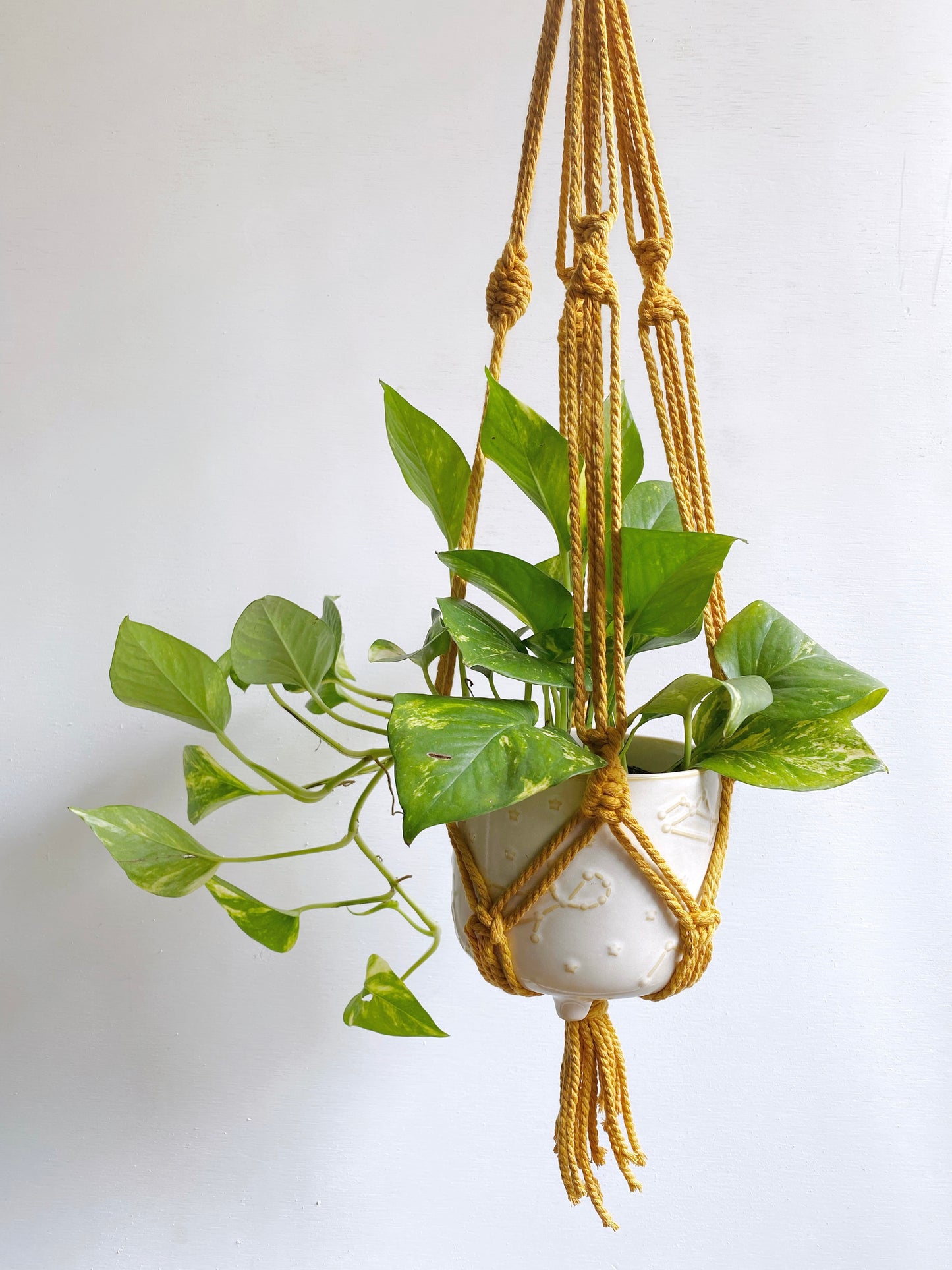 Create more space in your home and suspend your urban jungle with a ready to hang, handmade, boho macrame plant hanger. Great for indoors or outdoors, just add your favorite plant!