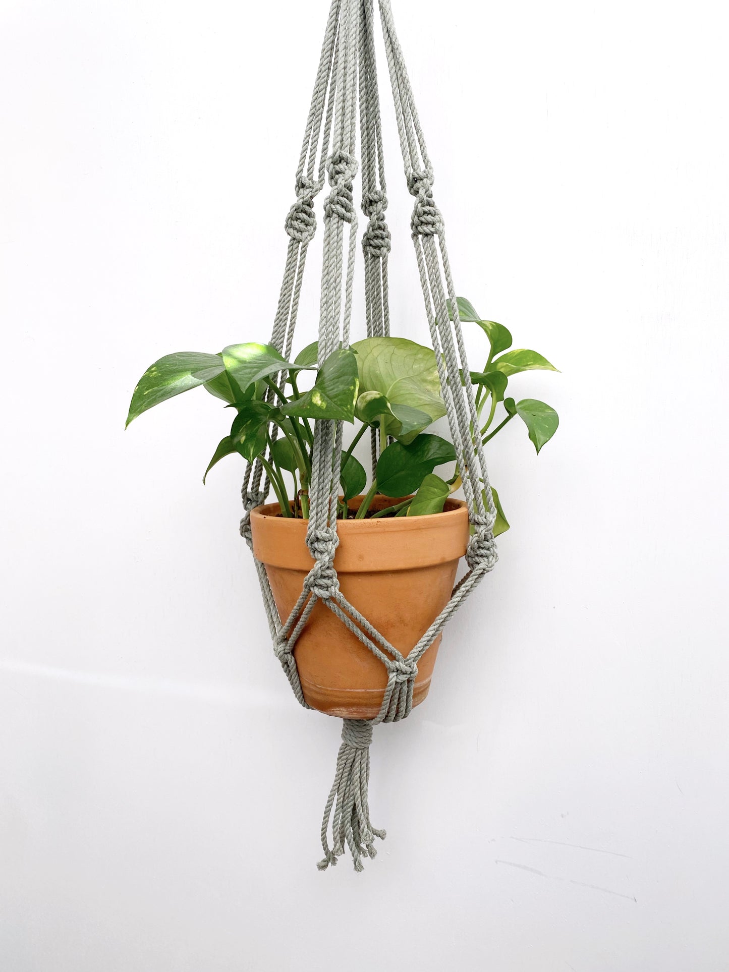 Create more space in your home and suspend your urban jungle with a ready to hang, handmade, boho macrame plant hanger. Great for indoors or outdoors, just add your favorite plant!