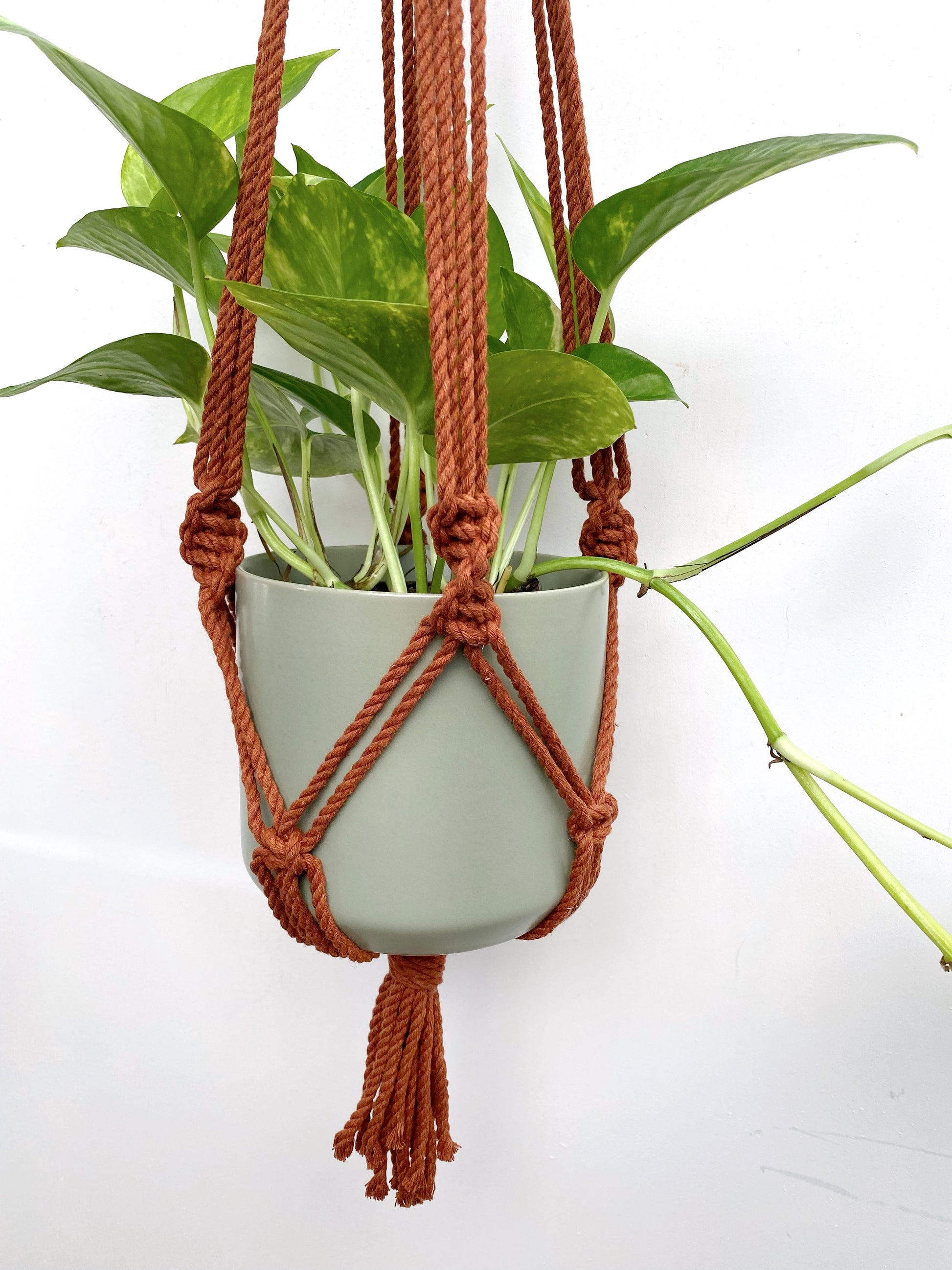 Petite Macrame Plant Hanger: 2 styles