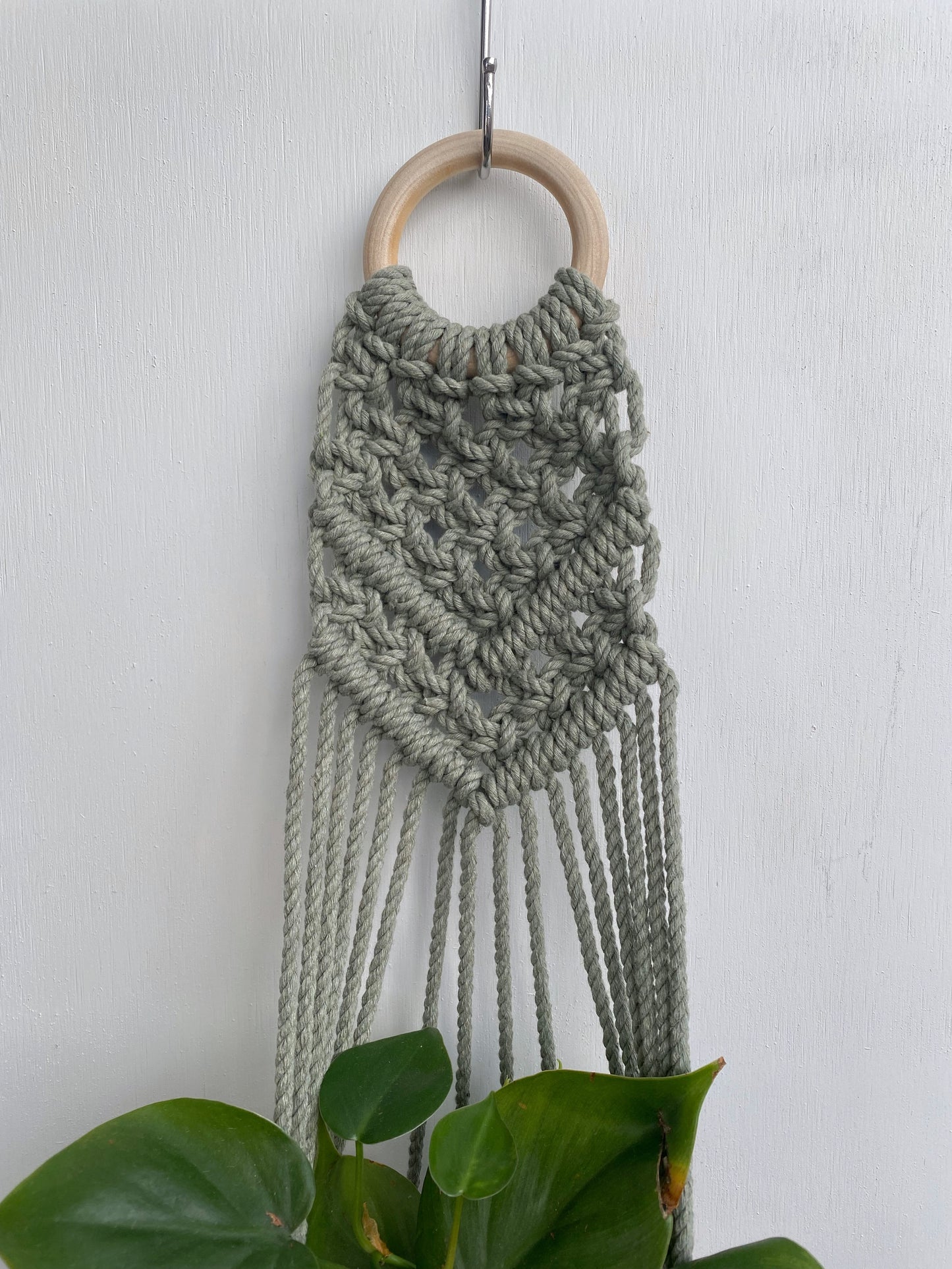 Colorful Macrame Wall Plant Hanger: 4 Colors