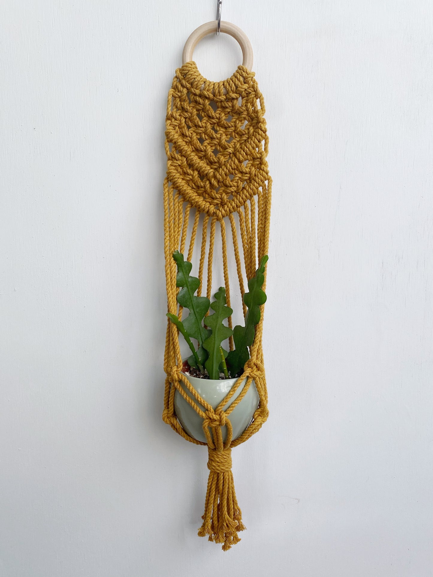 Colorful Macrame Wall Plant Hanger: 4 Colors