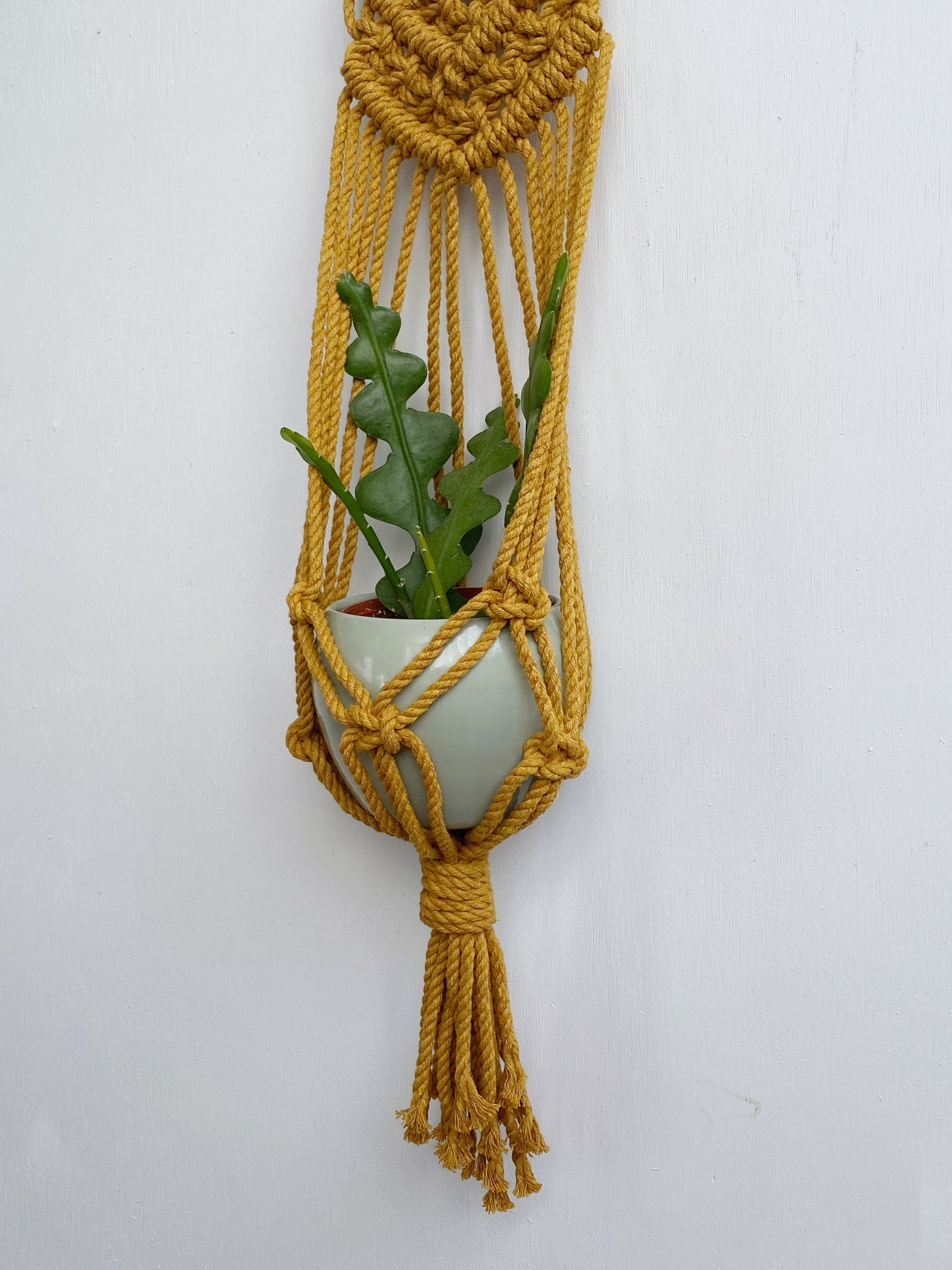 Colorful Macrame Wall Plant Hanger: 4 Colors