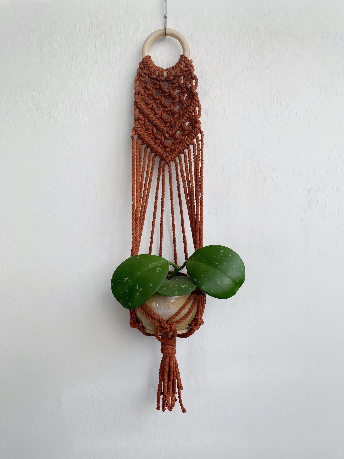 Colorful Macrame Wall Plant Hanger: 4 Colors