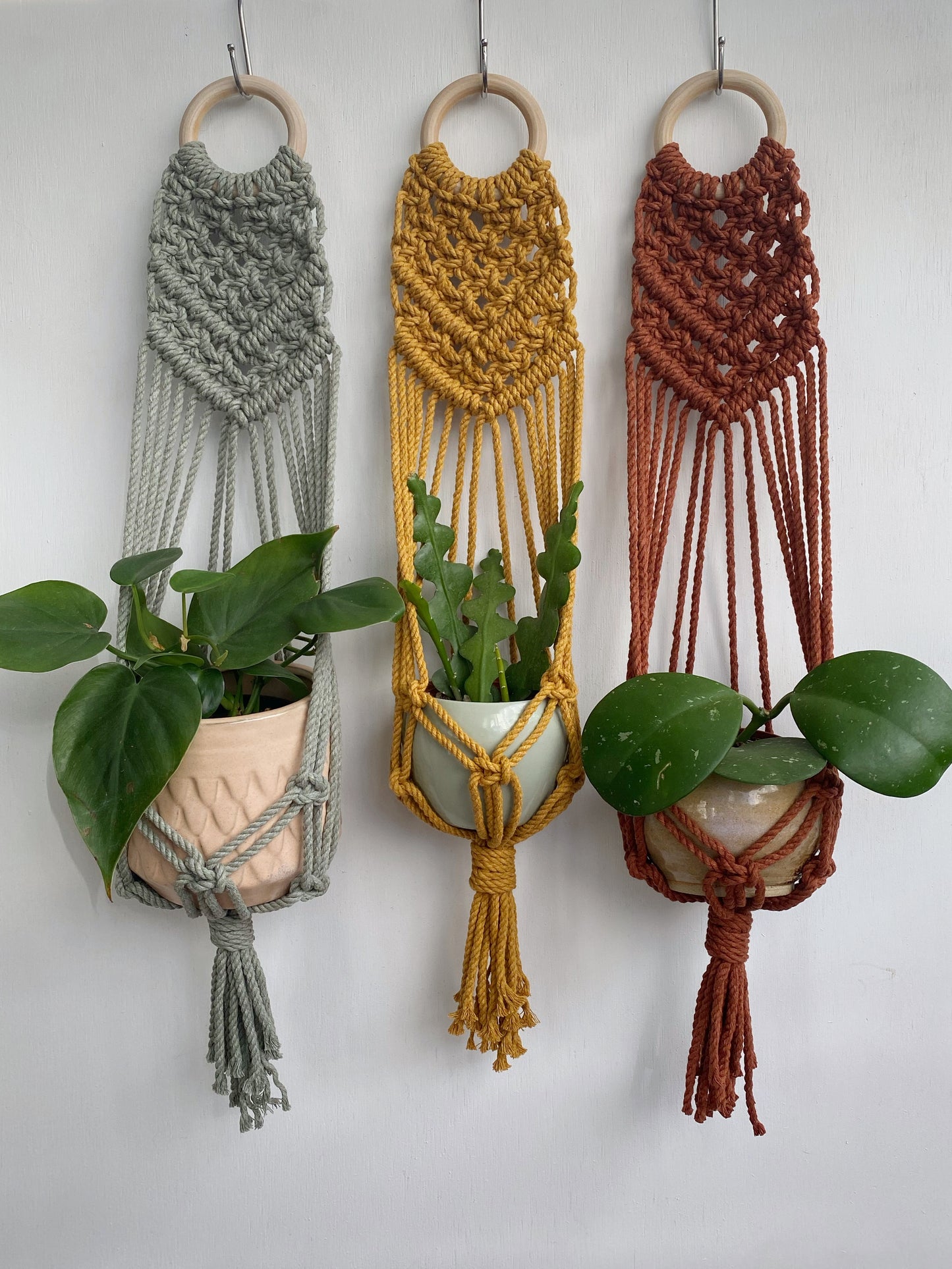 Colorful Macrame Wall Plant Hanger: 4 Colors