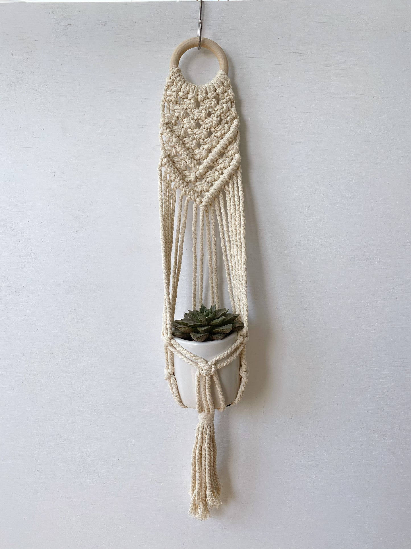 Colorful Macrame Wall Plant Hanger: 4 Colors