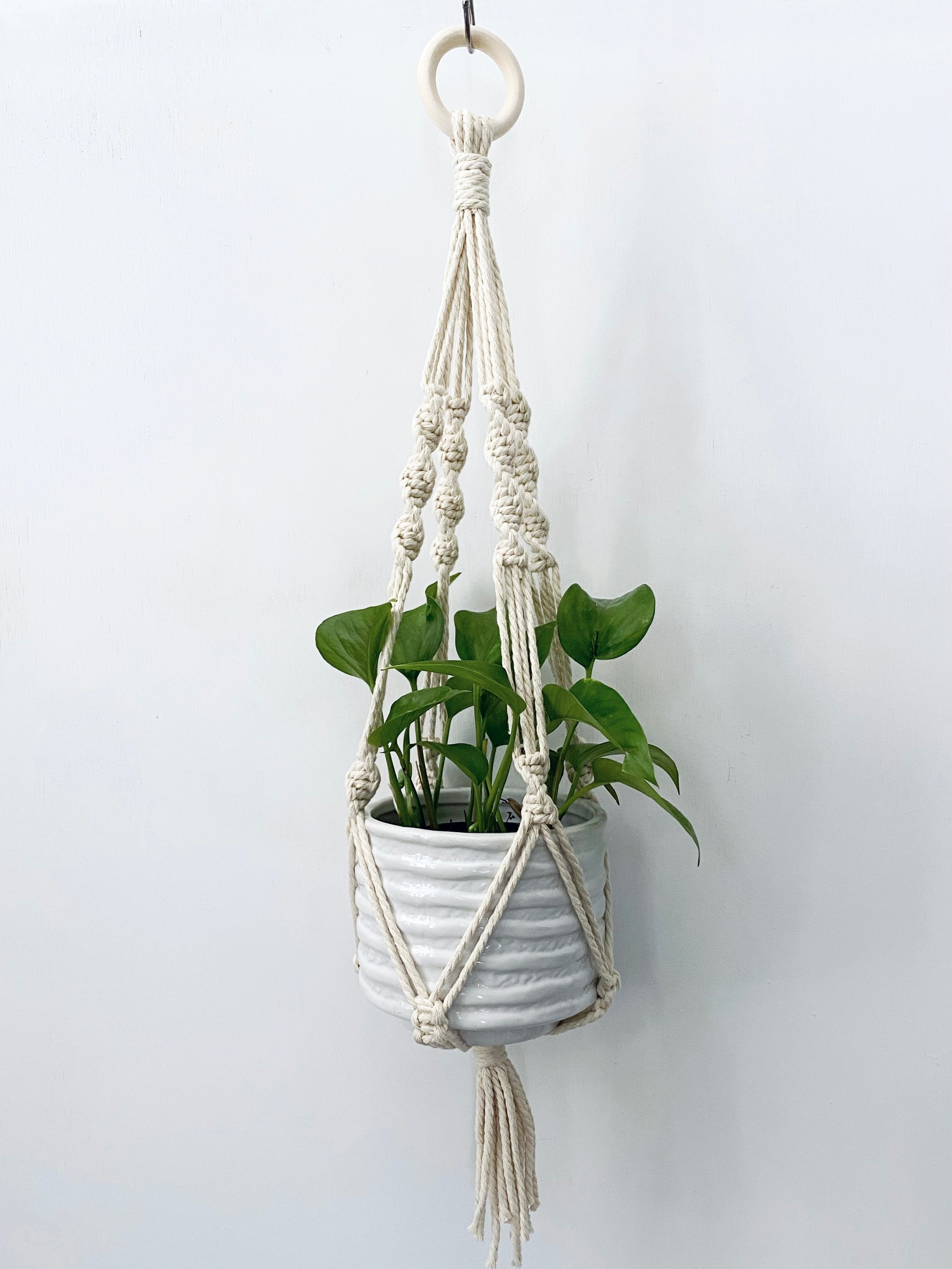 macraming Macrame Plant Hanger Kit - Make 3 DIY Macromay Plant Holders Easy Projects for Beginners - Video Instruction Include - 100m (109yrd) 3mm